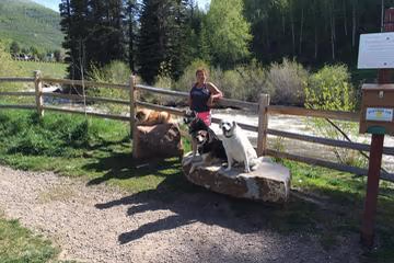 Stephens Park (West Vail Dog Park) photo 2